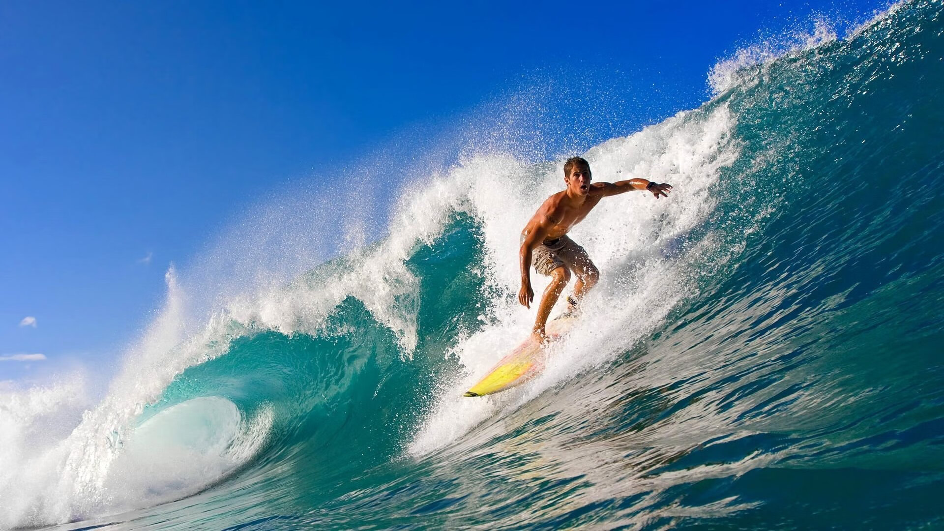 广州恒大主场实力不容忽视,战胜强敌,广州恒大主场球迷区